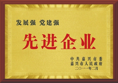 嘉興市先進(jìn)企業(yè)