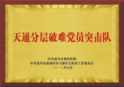 “天通分層破難黨員突擊隊(duì)”